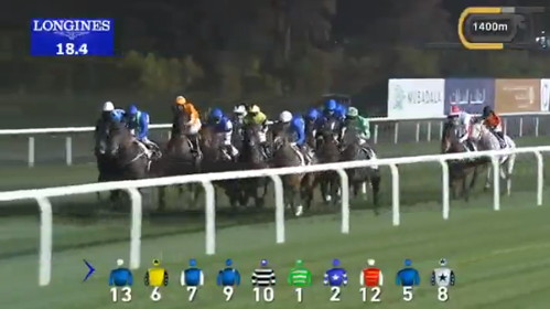 Horse Racing Live Stream Screenshot