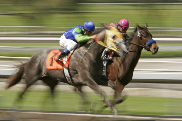 Blurred Horses & Jockeys